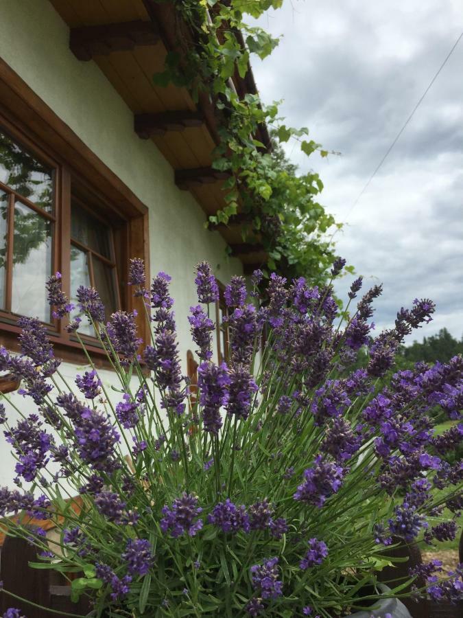 Dom Rodziny Sojkow Bed and Breakfast Bialka Tatrzanska Eksteriør billede