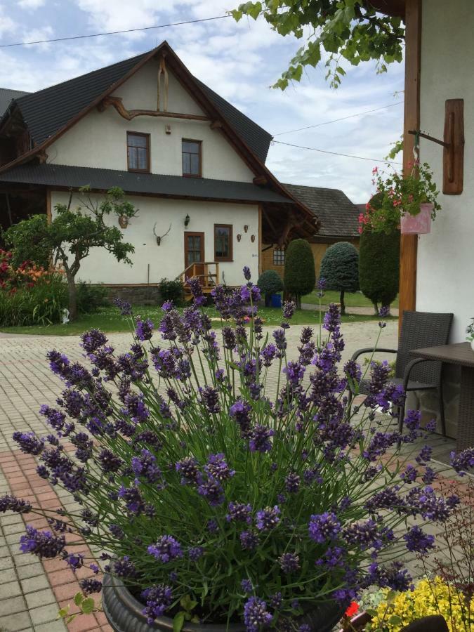 Dom Rodziny Sojkow Bed and Breakfast Bialka Tatrzanska Eksteriør billede
